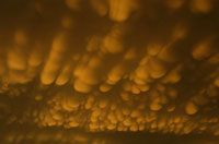 
	تلاطم ابرهاي ماماتوس در آسمان. اين ابرها از شكل برآمده و قلنبه اي آنها شناخته ميشوند.
