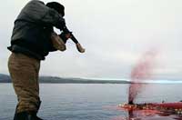 شکارچی بومی در شرق روسیه که با تفنگ نیمه اتوماتیک ارتش روسیه و با داشتن مجوز&nbsp; IWC برای امرار معاش به شکار نهنگ خاکستری مشغول است.

