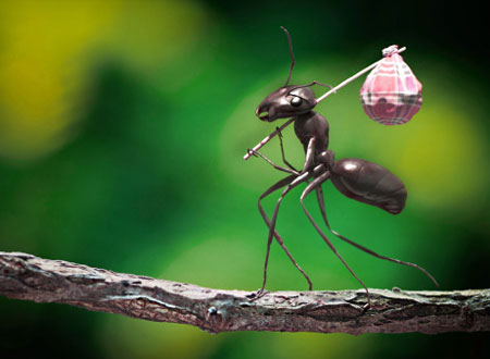 اگر مورچه‌ها آدم بودند و آدم‌ها مورچه!