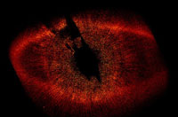 
	اين چشم آتشين كه شباهتي به نماد تصويري ارباب حلقه ها (شخصيت افسانه اي) دارد تصويريست كه توسط تلسكوپ فضايي هابل از ستاره ماهي دهان (فم الحوت) گرفته شده است، 