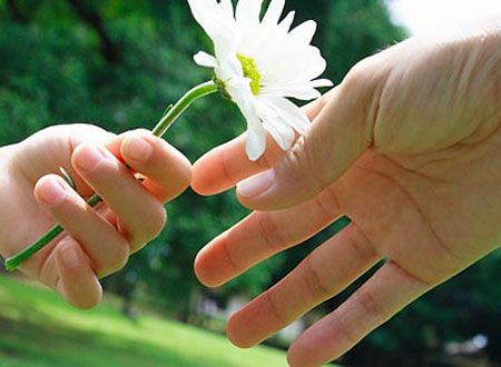  برخی محبت‌ها، تلاش ما را زایل می‌کند