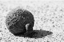 وقتی چشم‌ها سیر نمی‌شوند!
