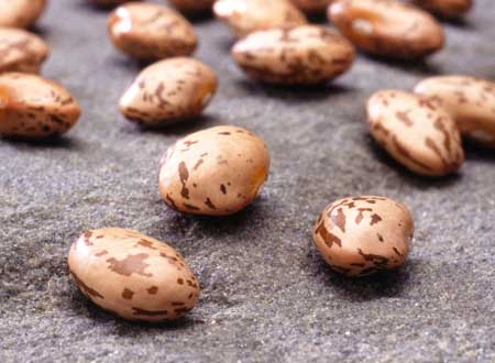 به خاطر یک دانه لوبیا...