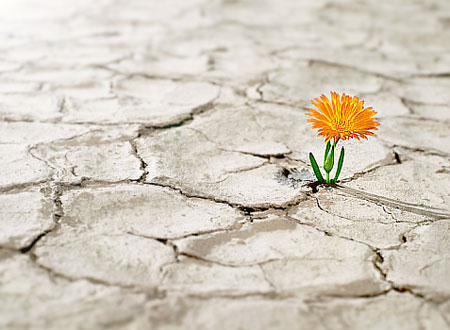 صدای قدم‌های خدا