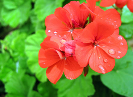 خوشبختی را در هاله‌ای از ابهام فرو نبریم