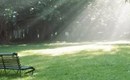 چرا طفیل هستی عشق‌اند آدمی و پری؟