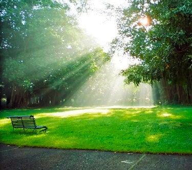 چرا طفیل هستی عشق‌اند آدمی و پری؟