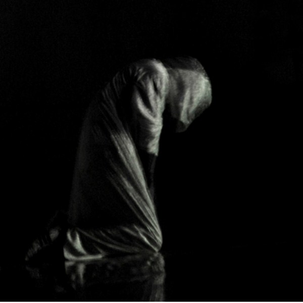 درخت گلابی