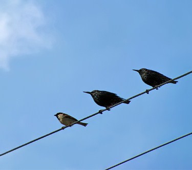کجایی رفیق؟!