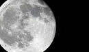 بارت را در ایستگاه شب زمین بگذار