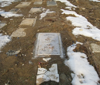سیلی سرد خاک
