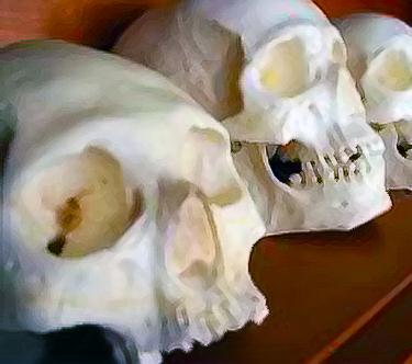 چگونه احمق نباشیم