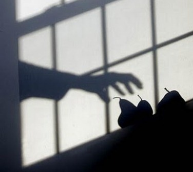 یک طوطی به نام یلدا