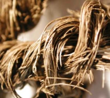 با طناب نخ‌نما حتی نمی‌شود ابروی سالم داشت!