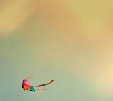 فقط یک گناه وجود دارد
