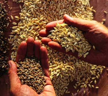 داد و ستد ارمغان‌های زمین